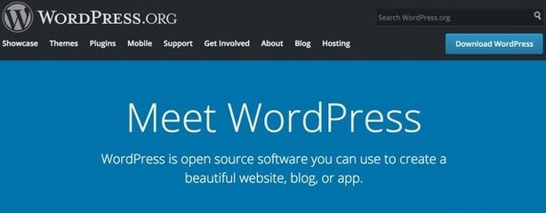 為什么我選擇 WordPress 來建站？深入解析 9 大核心理由